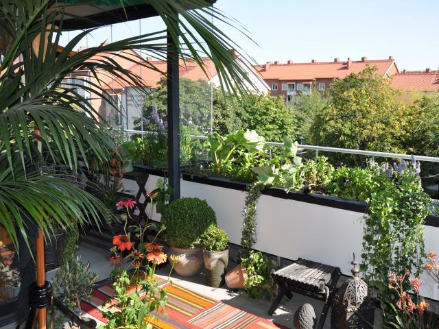apartment for rent in Augustenborg