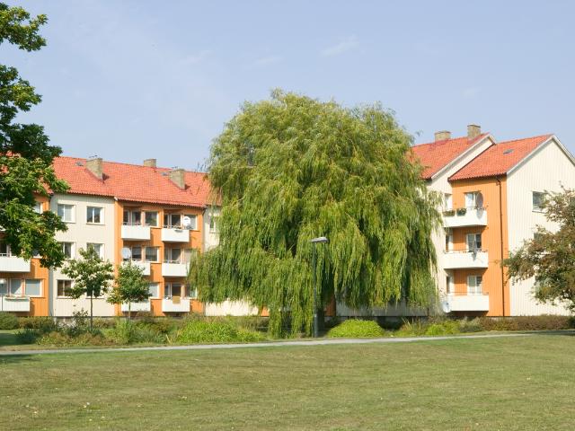 apartment for rent in Augustenborg