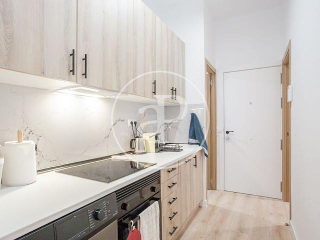 Apartment for Rent in Barrio de las Letras
