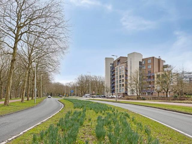 apartment for rent in Beysterveld 219 1083KD Amsterdam Buitenveldert Zuidoost Amsterdam
