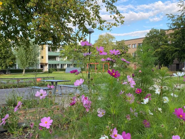 apartment for rent in Bellevuegården