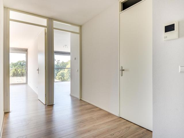 apartment for rent in Bellevuelaan 219 2012BX Haarlem Welgelegen Haarlem