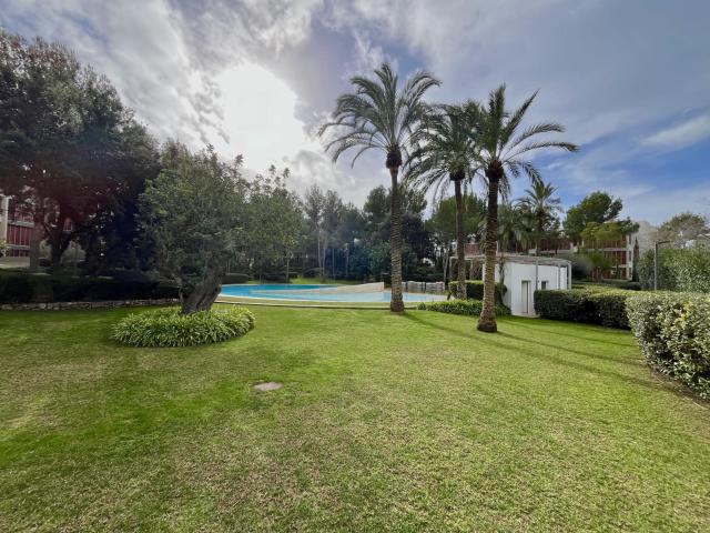 Apartment for rent in Bendinat, Calvià, Mallorca