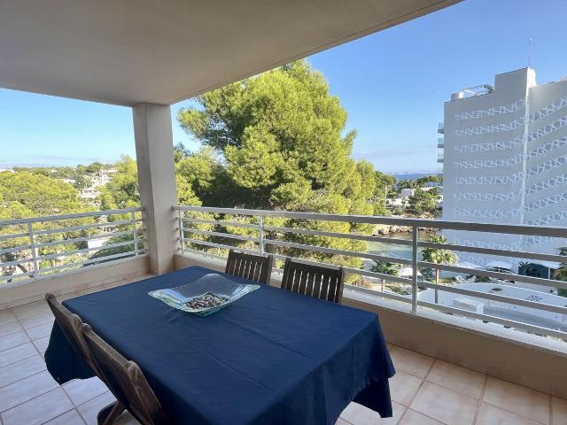 Apartment for rent in Bendinat, Calvià, Mallorca