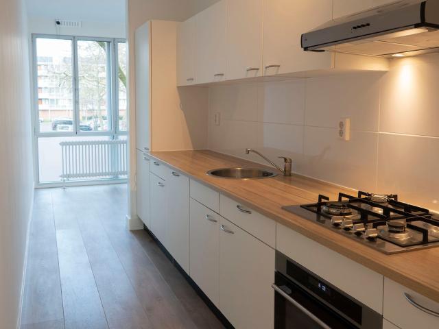 apartment for rent in Benedenlangs 31 1025KB Amsterdam Plan van Gool Amsterdam