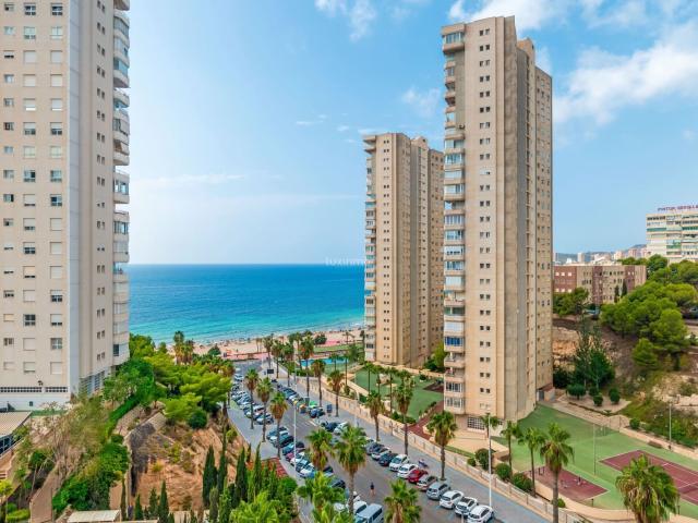 Apartment for rent in Benidorm, Alicante