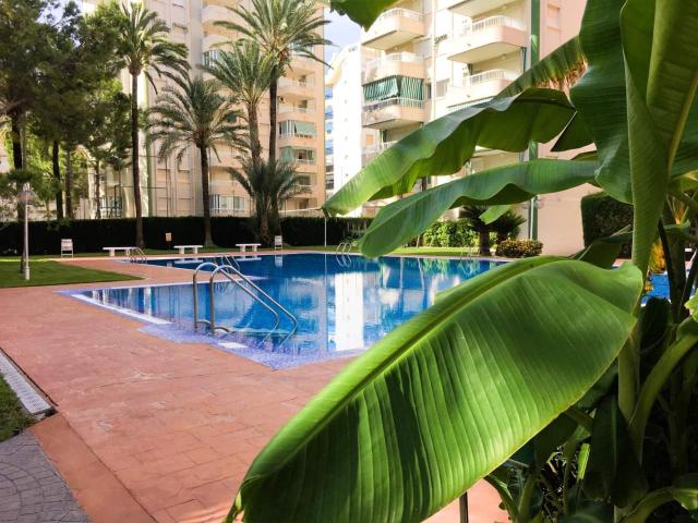 Apartment for rent in Gandia, Valencia