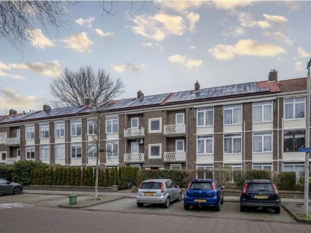 apartment for rent in Graslaan 35 1 6833CC Arnhem Groene Weide Arnhem