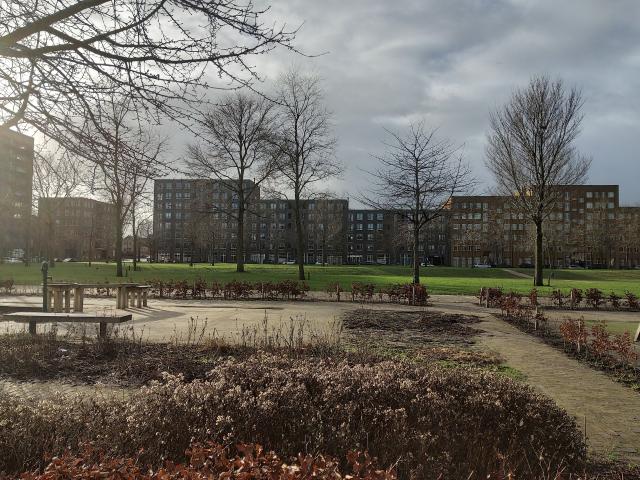 apartment for rent in Emmy Andriessestraat 272 1087ML Amsterdam Theo van Goghparkbuurt Amsterdam