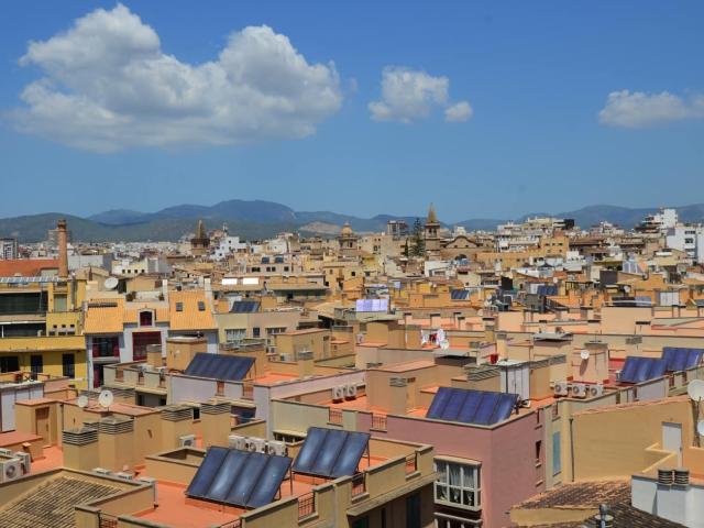 Apartment for rent in El Sindicat, Palma de Mallorca, Mallorca