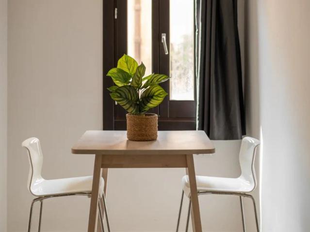 Apartment for rent in El Raval, professionals and students only