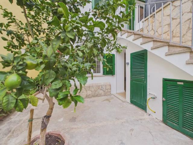 Apartment for rent in El Terreno, Palma de Mallorca, Mallorca