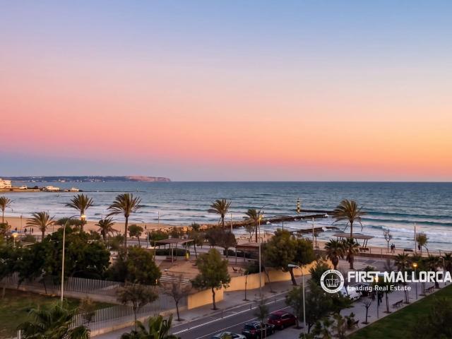 Apartment for rent in Es Molinar / El Molinar, Palma de Mallorca, Mallorca