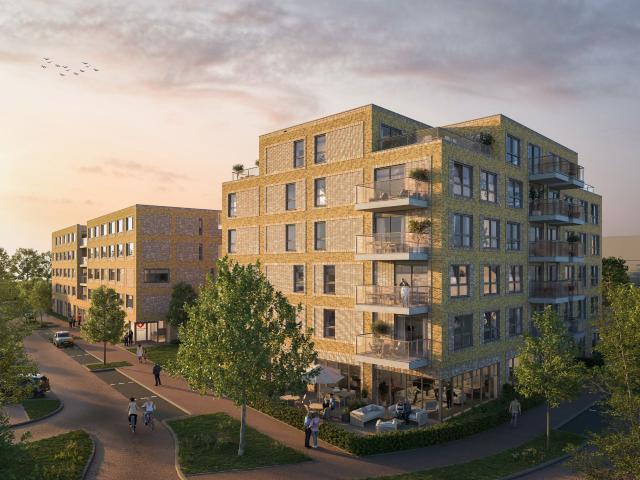 apartment for rent in Fluwijn 864 2693EA Westland Het Nieuwe water 's Gravenzande