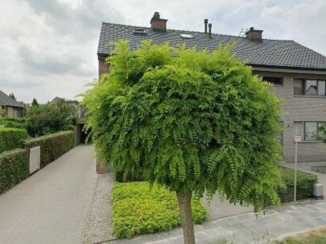 Apartment for rent in Kruibeke