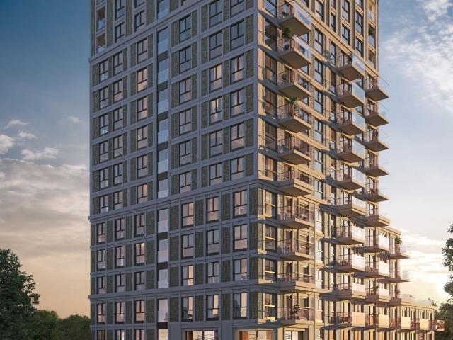 apartment for rent in Hongerlandsedijk 2014 3201LZ Nissewaard De Dijk Spijkenisse