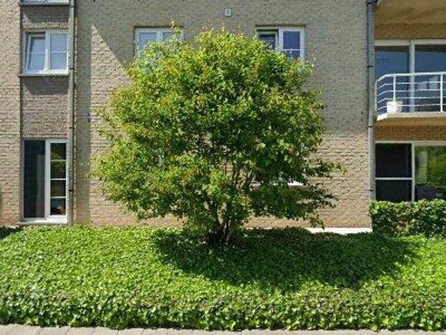 Apartment for rent in Harelbeke, West Vlaanderen