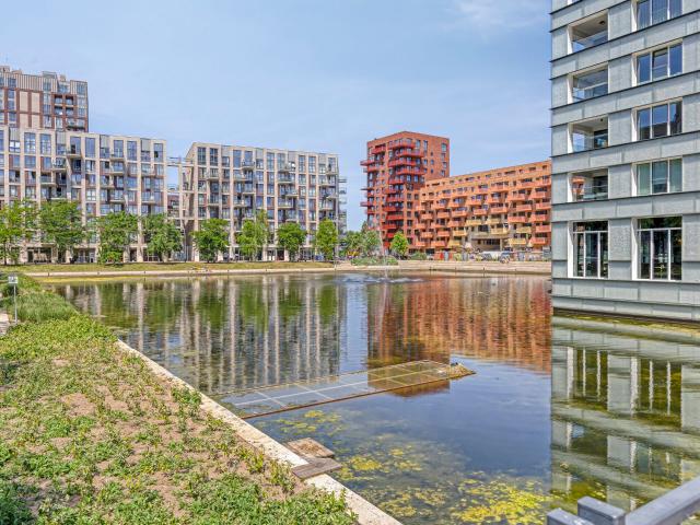 apartment for rent in Onderwijsboulevard 670 5223DV Den Bosch Paleiskwartier Den Bosch