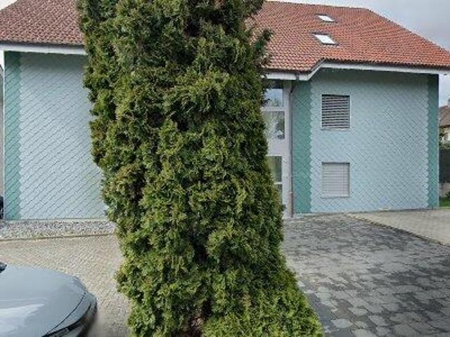 Apartment for rent in Oberaargau