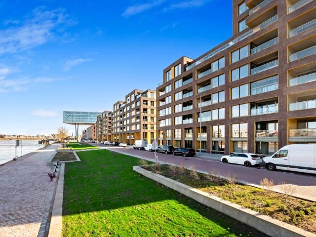 apartment for rent in Oranjeboomstraat 4 C 3071BA Rotterdam Feijenoord Rotterdam