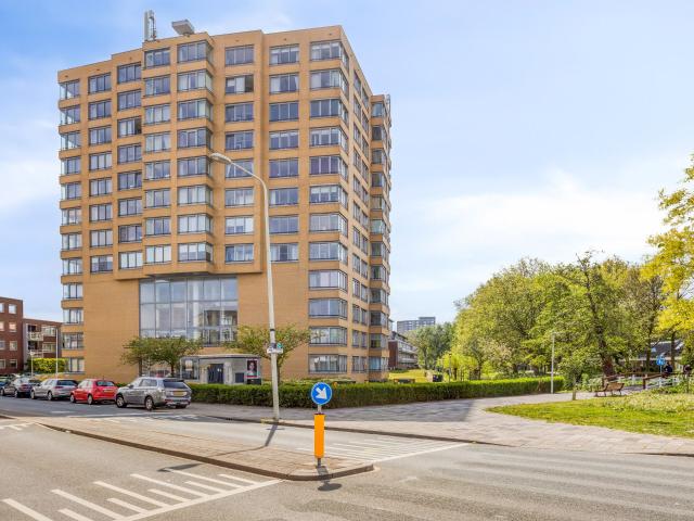 apartment for rent in Loosduinse Uitleg 172 2553AV Den Haag Kom Loosduinen Den Haag