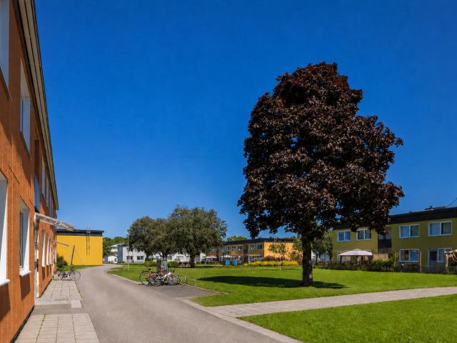 apartment for rent in Lantmannavägen 79, Trollhättan, 46160