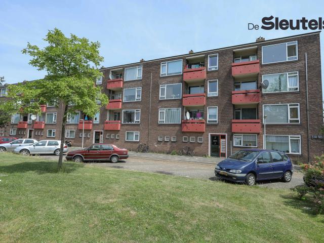 Apartment for rent in Leiden