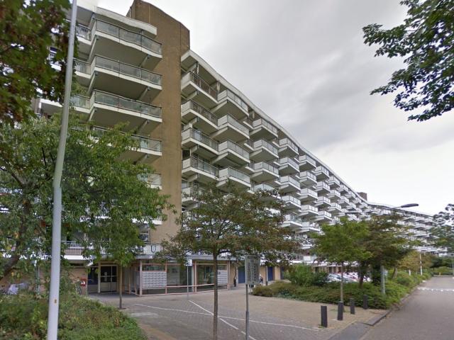 Apartment for rent in Leiden