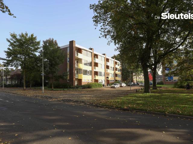 Apartment for rent in Leiden