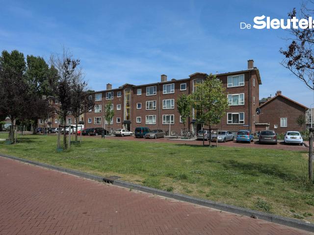 Apartment for rent in Leiden