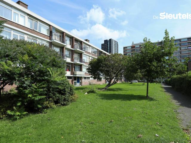 Apartment for rent in Leiden