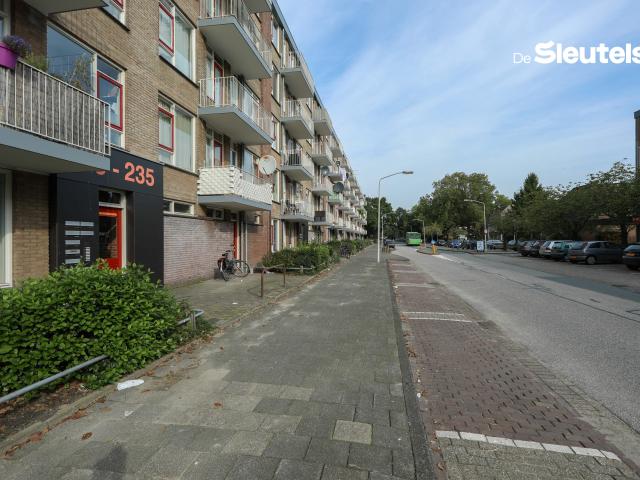 Apartment for rent in Leiden