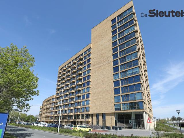 Apartment for rent in Leiden