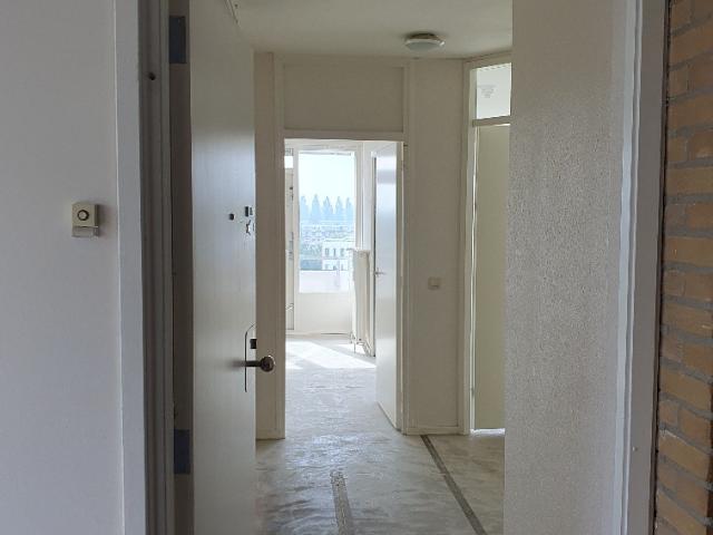 Apartment for rent in Leiden