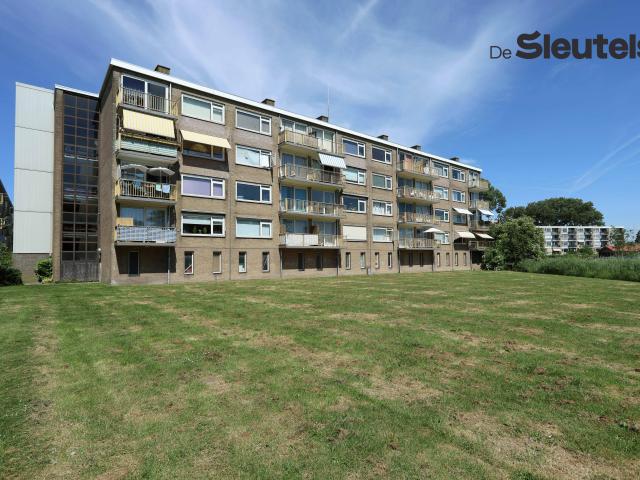 Apartment for rent in Leiden