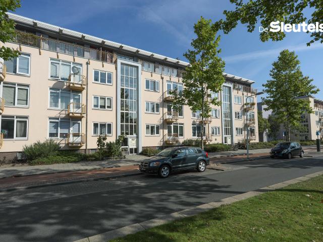 Apartment for rent in Leiden