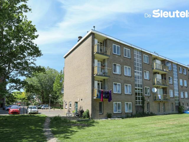 Apartment for rent in Leiden