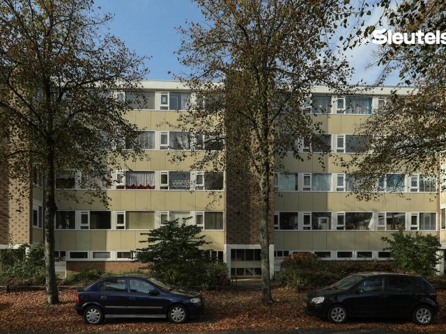 Apartment for rent in Leiden