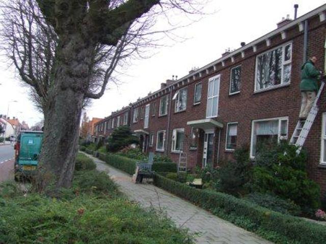 Apartment for rent in Lisse