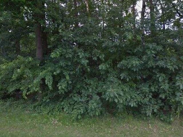Apartment for rent in Mol