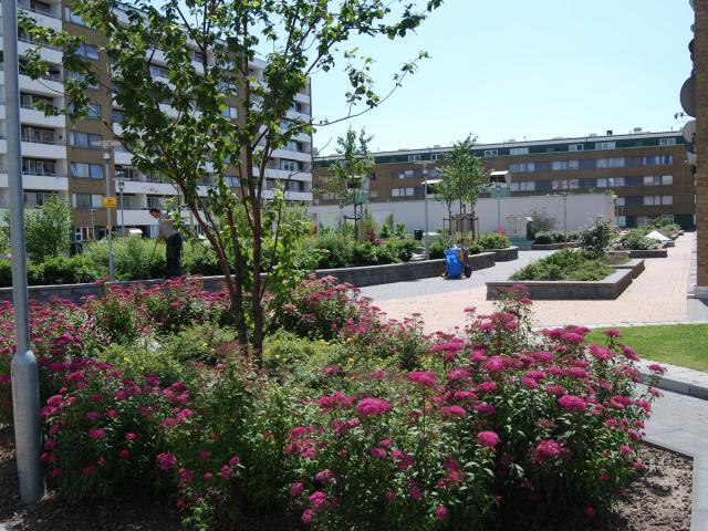 apartment for rent in Möllevången