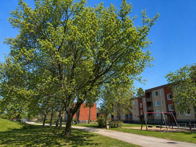 apartment for rent in Madlyckevägen 72, Mariestad, 54231