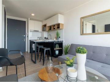 apartment for rent in Metro San Alberto Hurtado, Santiago, Región Metropolitana de Santiago, Usado