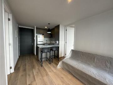 apartment for rent in Metro San Alberto Hurtado, Santiago, Región Metropolitana de Santiago, Nuevo