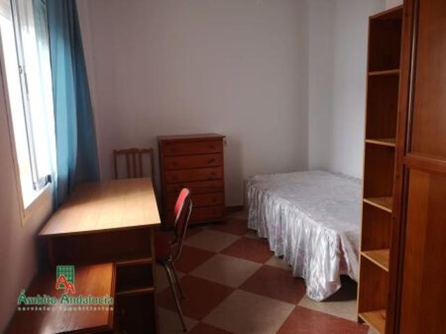 Apartment for rent in San Francisco Javier