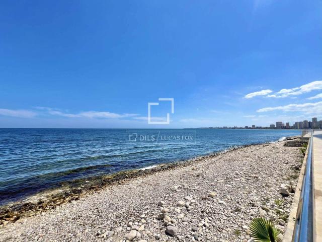 Apartment for rent in San Juan de Alicante / Sant Joan d'Alacant, Alicante