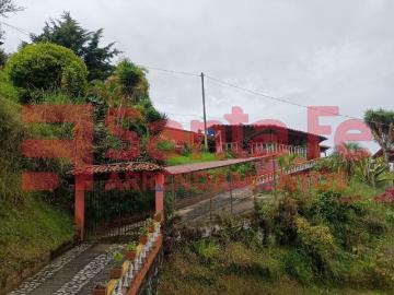 apartment for rent in San Sebastian de Palmitas