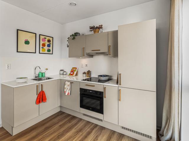 apartment for rent in Steenvoordelaan 402 F246 2284EJ Rijswijk Artiestenbuurt Rijswijk ZH