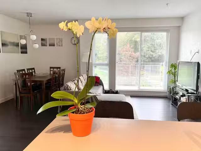 Apartment for rent in Surrey, North Surrey, Boulevard, 263156796