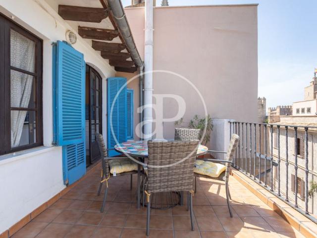 Apartment for rent in Palma’s Old Town